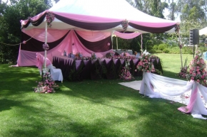 weddings at lovelyevents.co.ke